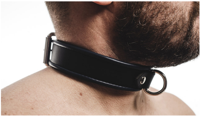Men's Room - 1 Ring Collar