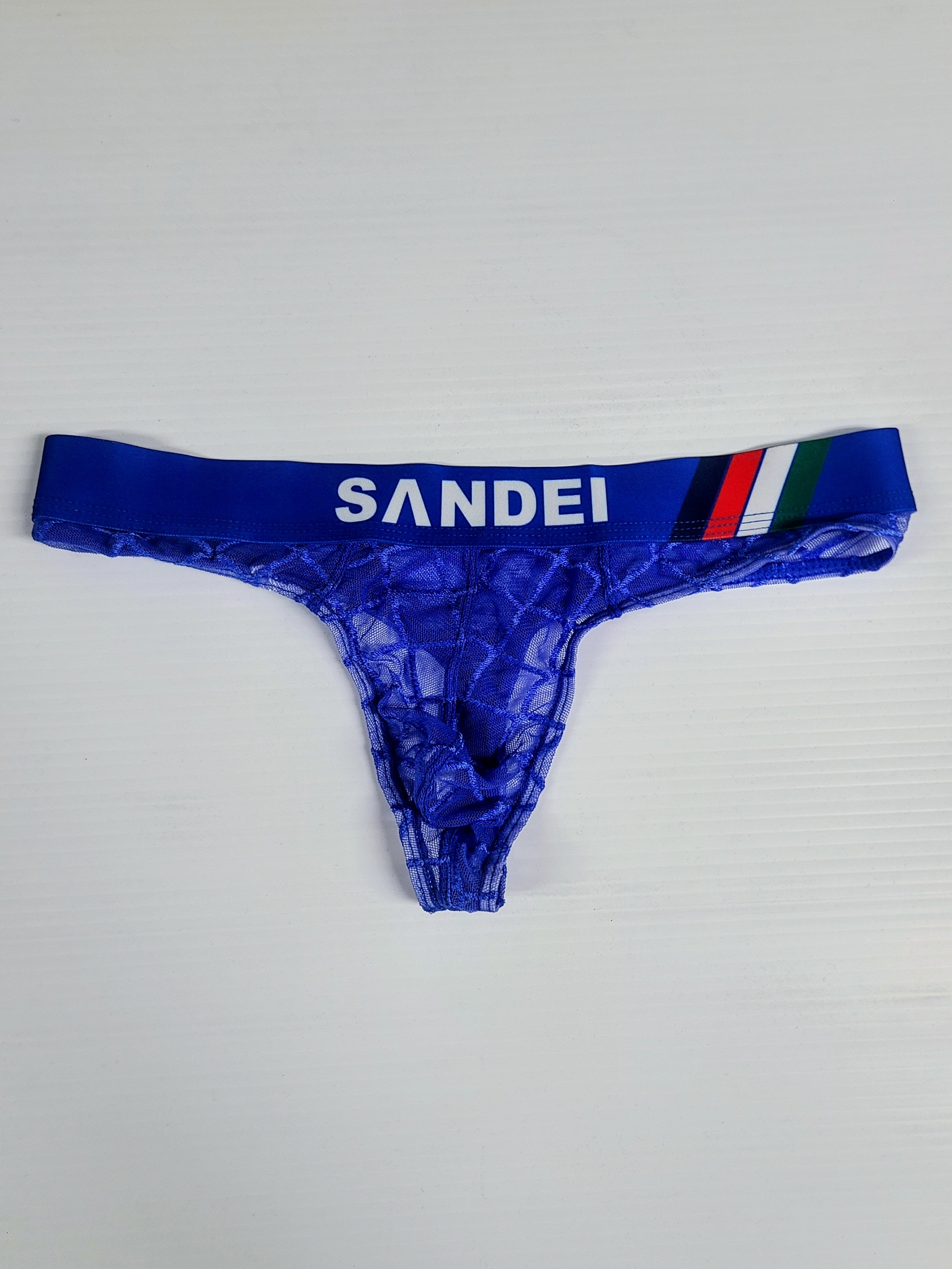 SANDEI Sheer Mesh Thong