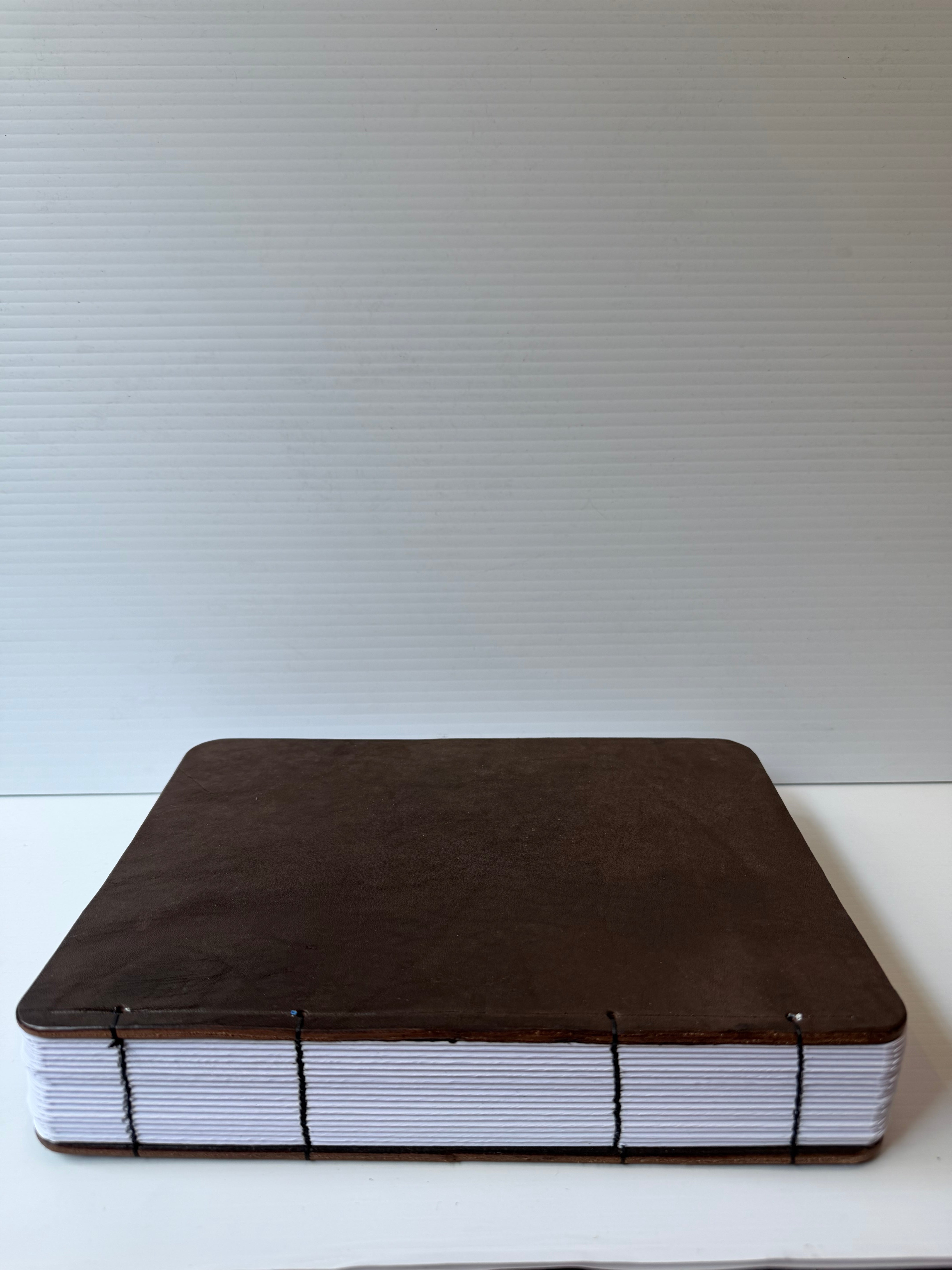 Briggs Leather craft - Leather Book