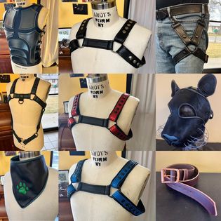 P & C -Bulldog Harness Various Colours