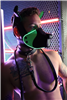 Breedwell - Poundtown Pup Mask 2.0