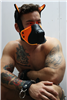 Breedwell - Poundtown Pup Mask 2.0