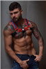 Breedwell - Starlight Bulldog Harness