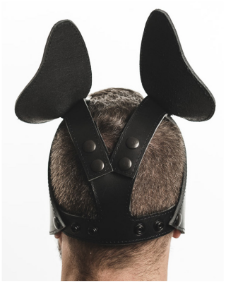 Men's Room - Hard Leather Puppy Hood