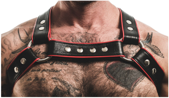 Men's Room - Hybrid Neo-Leather Harness