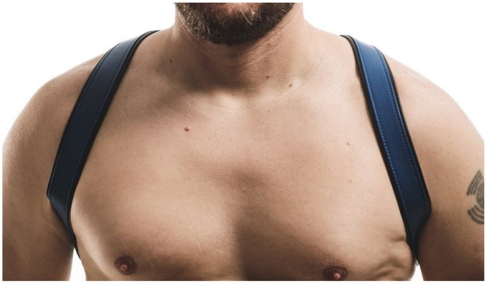 Men's Room - LAX Los Angeles Shoulder Harness