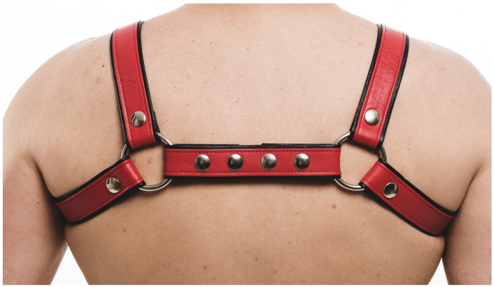Men's Room - PUG Harness