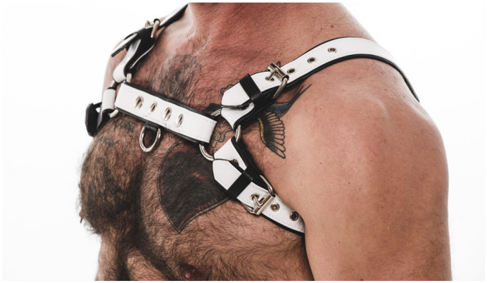 Men's Room - PUG Harness