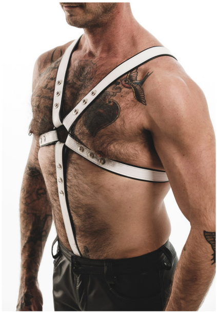 Men's Room - SFO C-Ring Extension Harness