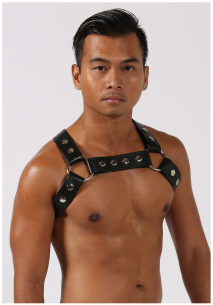 Men's Room - YUL Montreal Harness