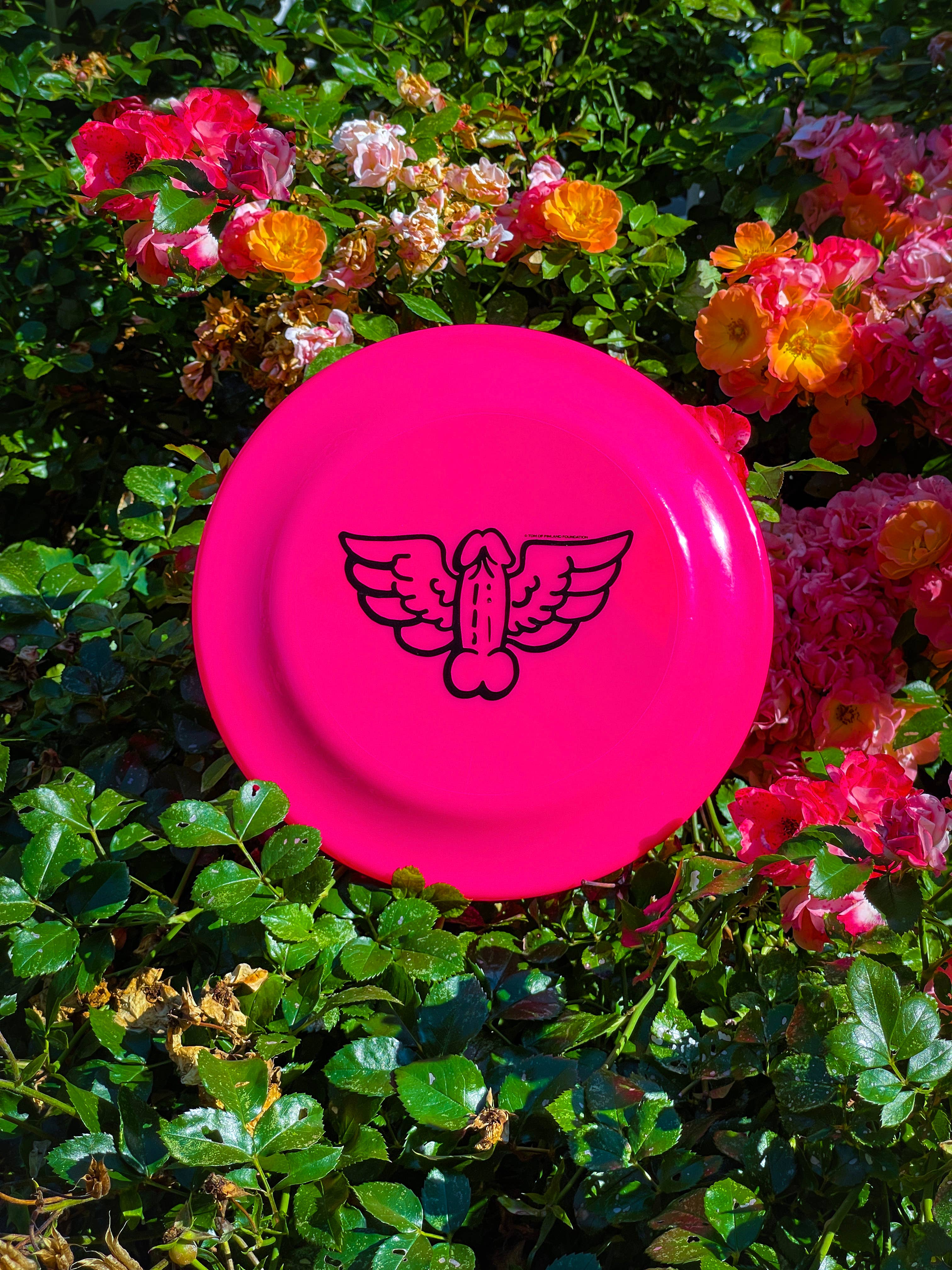Tom of Finland Frisbee