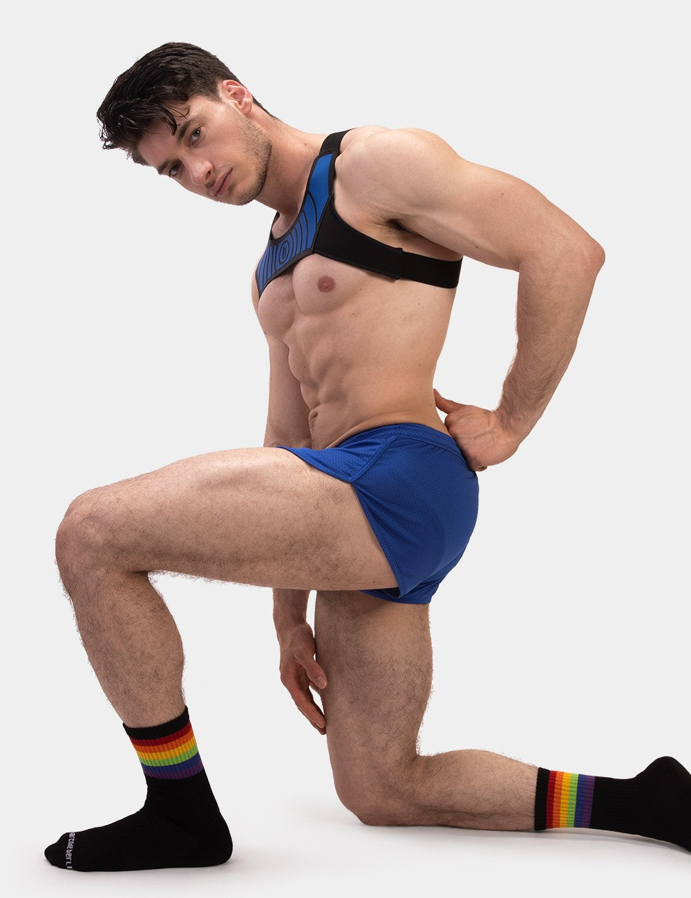 Barcode Berlin (MR) - Harness Vacal