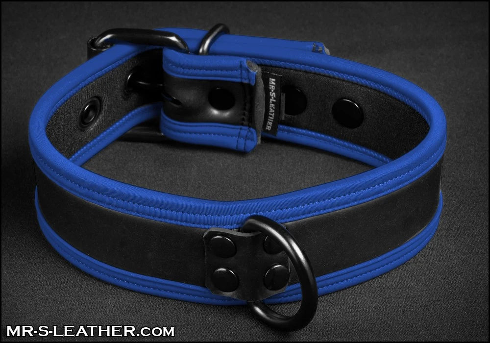 Mr S Leather - Neo Puppy Collar