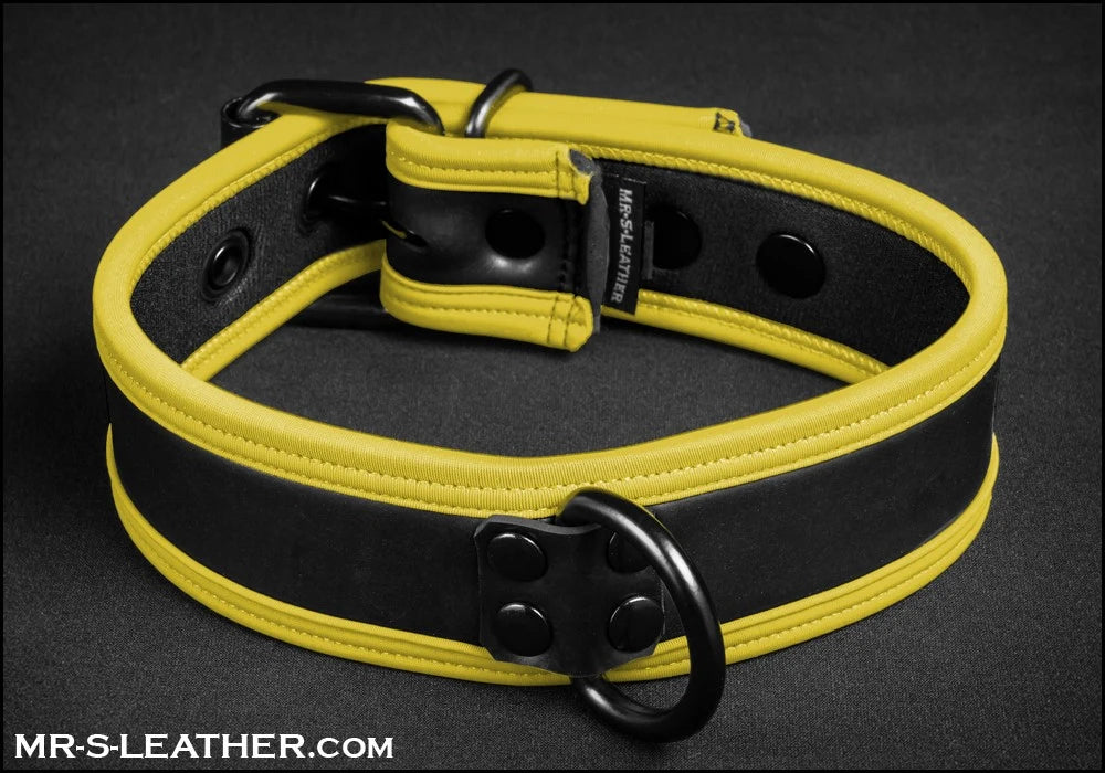 Mr S Leather - Neo Puppy Collar