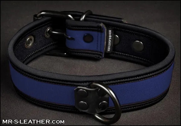 Mr-S Neo Bold Puppy Collar