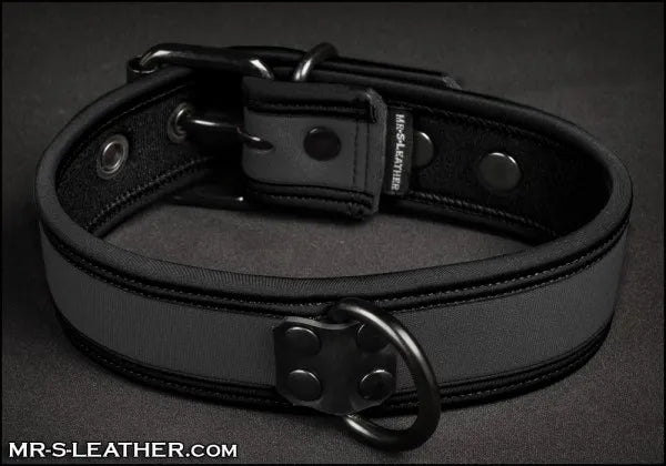 Mr-S Neo Bold Puppy Collar
