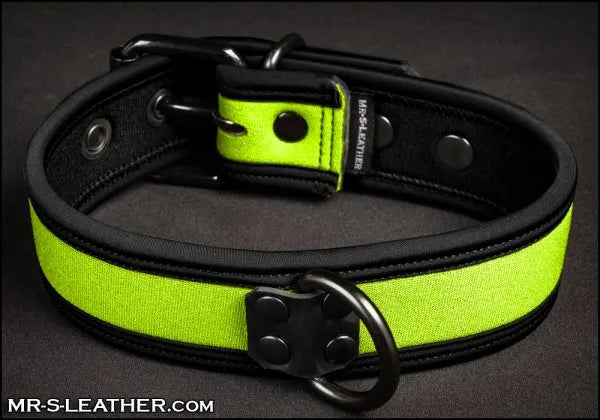 Mr-S Neo Bold Puppy Collar