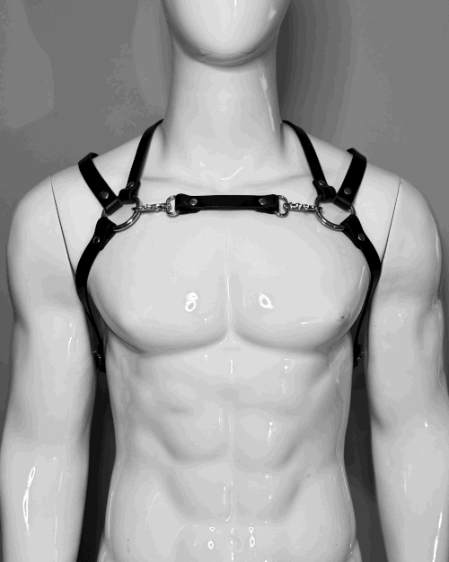 Raw Harness - Double Harness