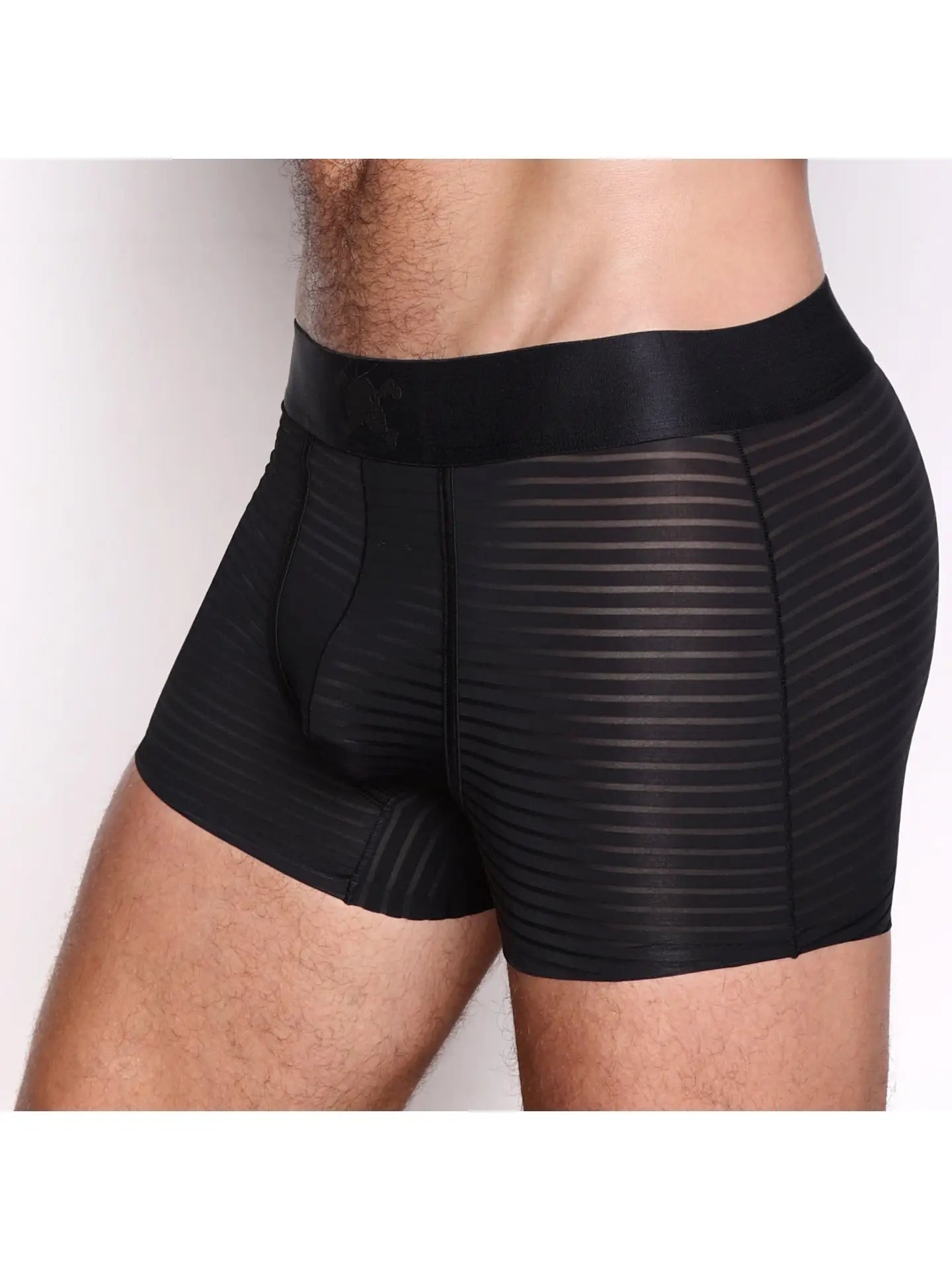 Skull & Bones - Just the Bones Sheer Black Stripe Trunk