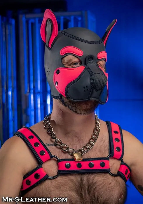 Mr. S Leather Neoprene Frisky Pup Hood