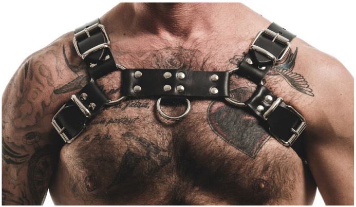 Men's Room - Bulldog Hard Leather Harness