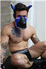 Breedwell - Poundtown Pup Mask 2.0