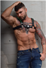 Breedwell - Starlight Bulldog Harness