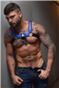 Breedwell - Starlight Bulldog Harness