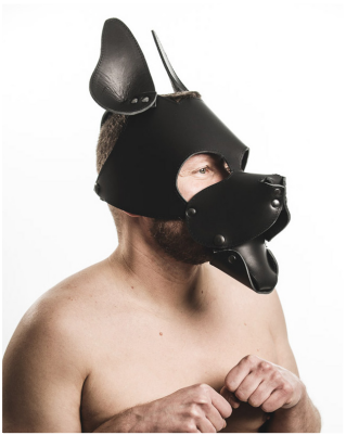 Men's Room - Hard Leather Puppy Hood