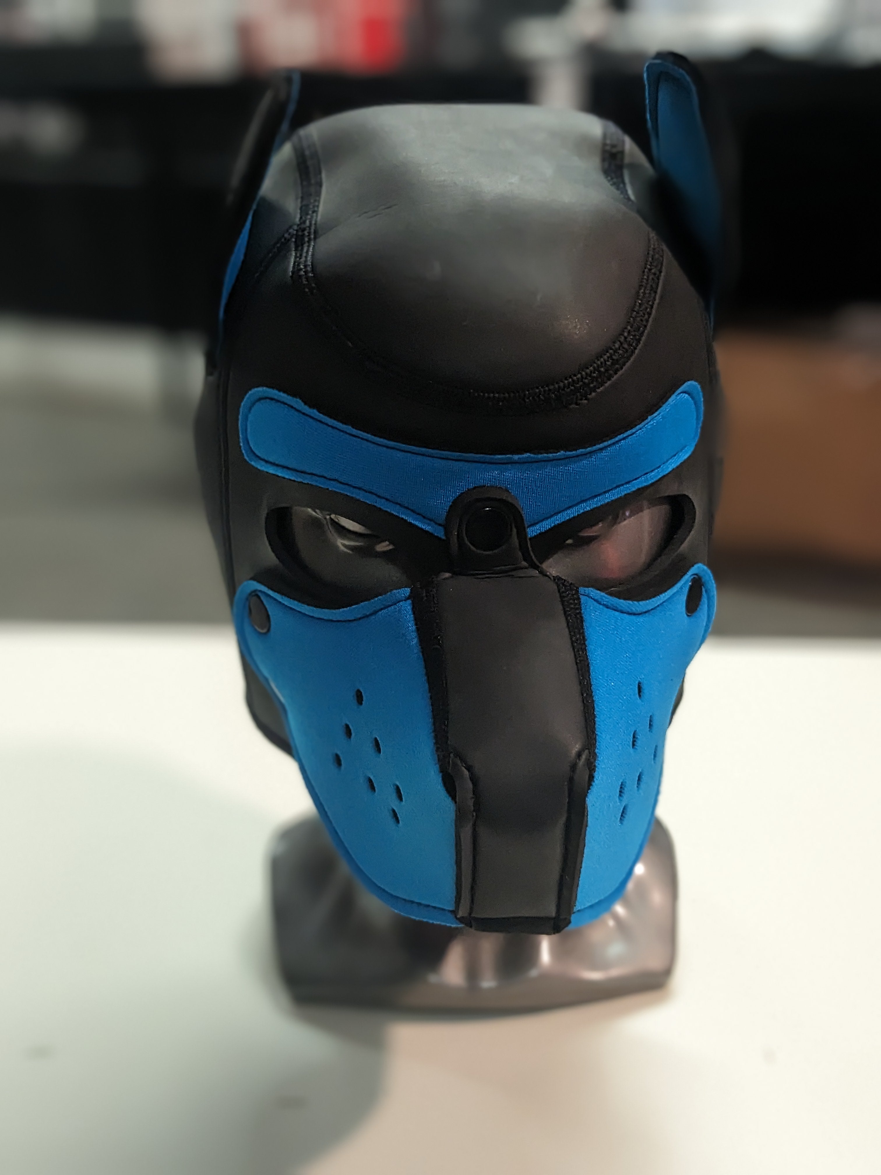Mr-S-Leather Pup Hoods