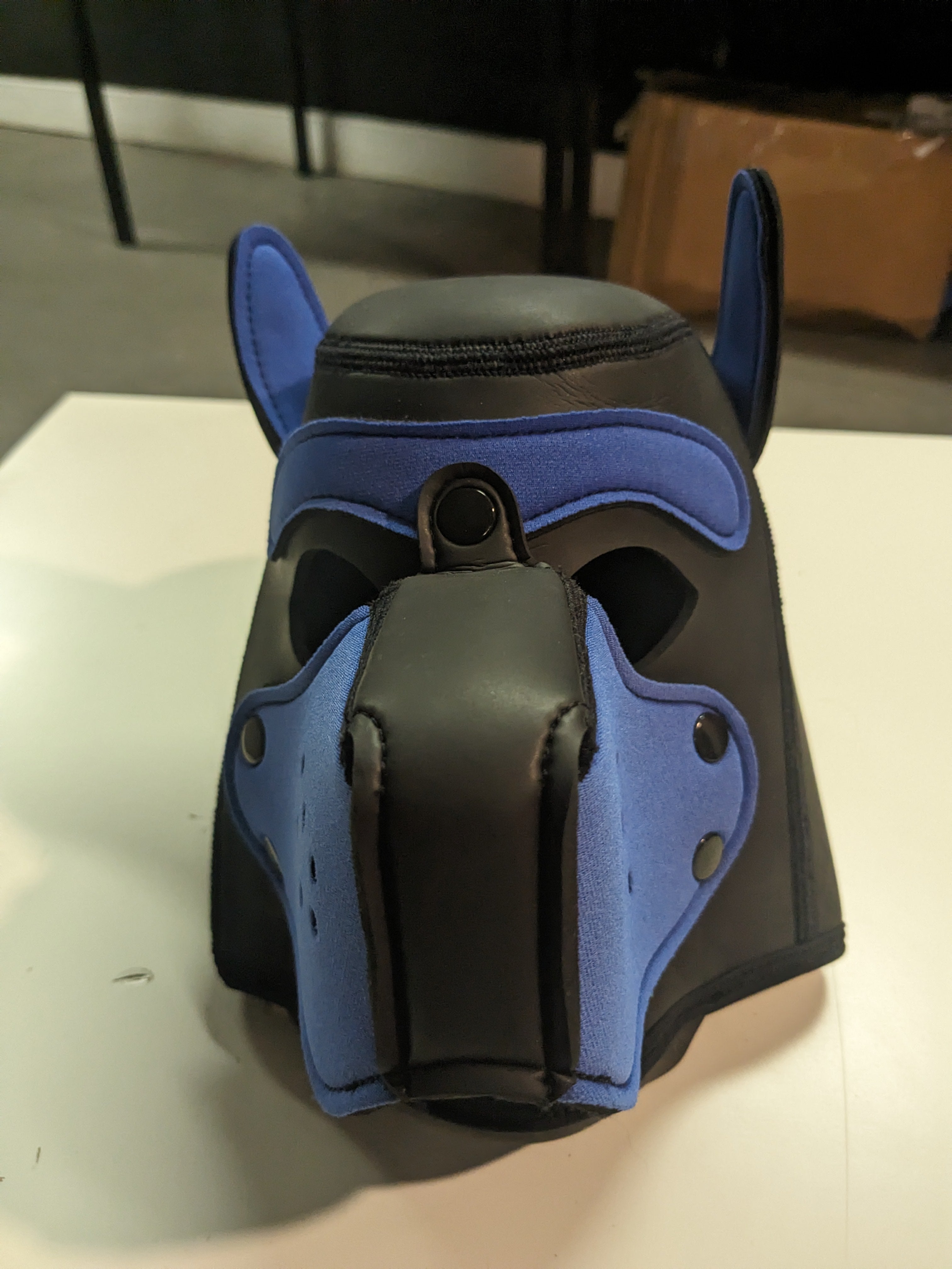 Mr-S-Leather Pup Hoods