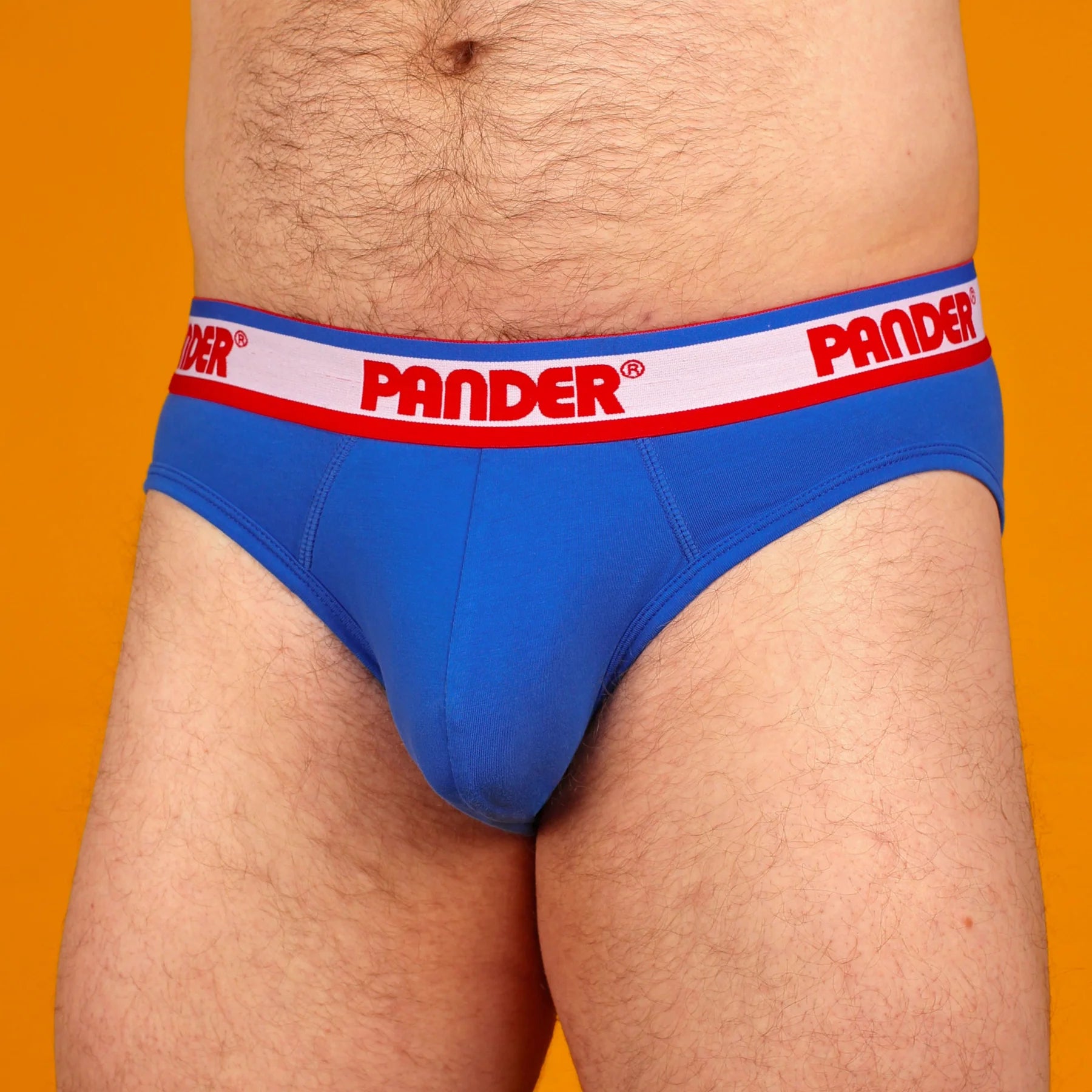 Pander - Brief