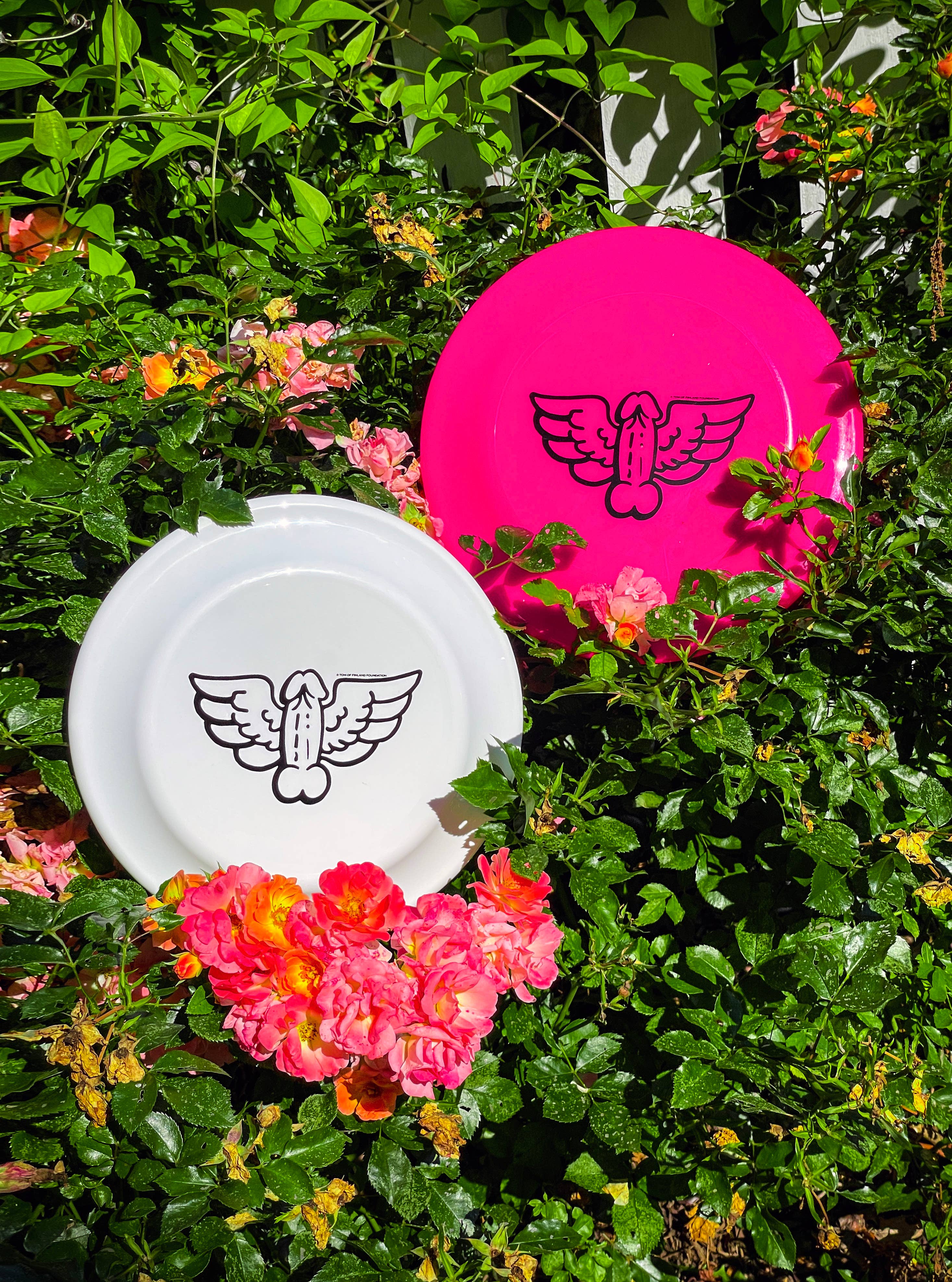 Tom of Finland Frisbee