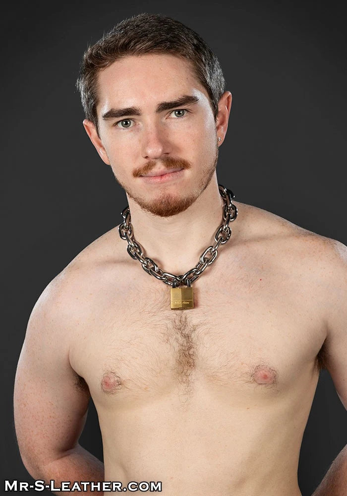 Mr S Leather - Big Dog Stainless Steel Collar and lock