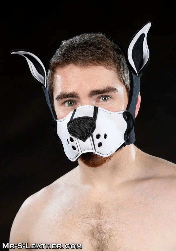 Mr S Leather - Neoprene K9 Muzzle Kit