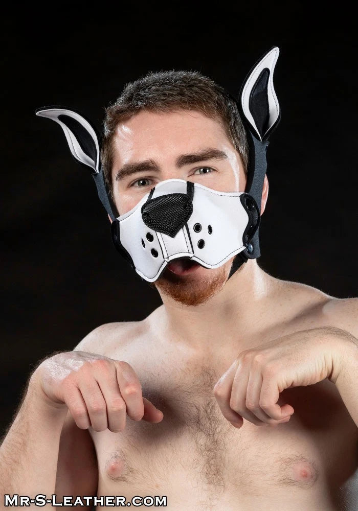 Mr S Leather - Neoprene K9 Muzzle Kit