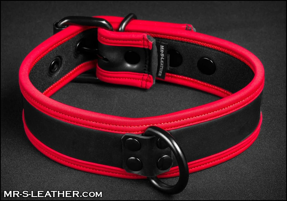 Mr S Leather - Neo Puppy Collar