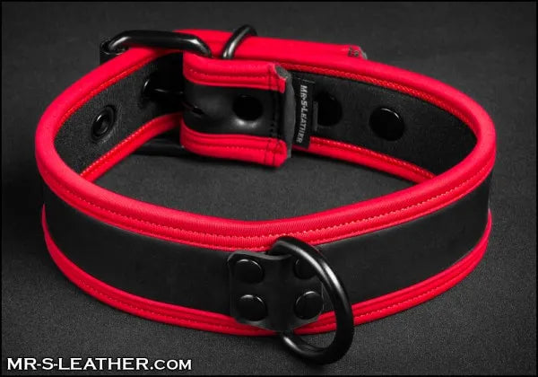 Mister S - Neoprene Puppy Collar