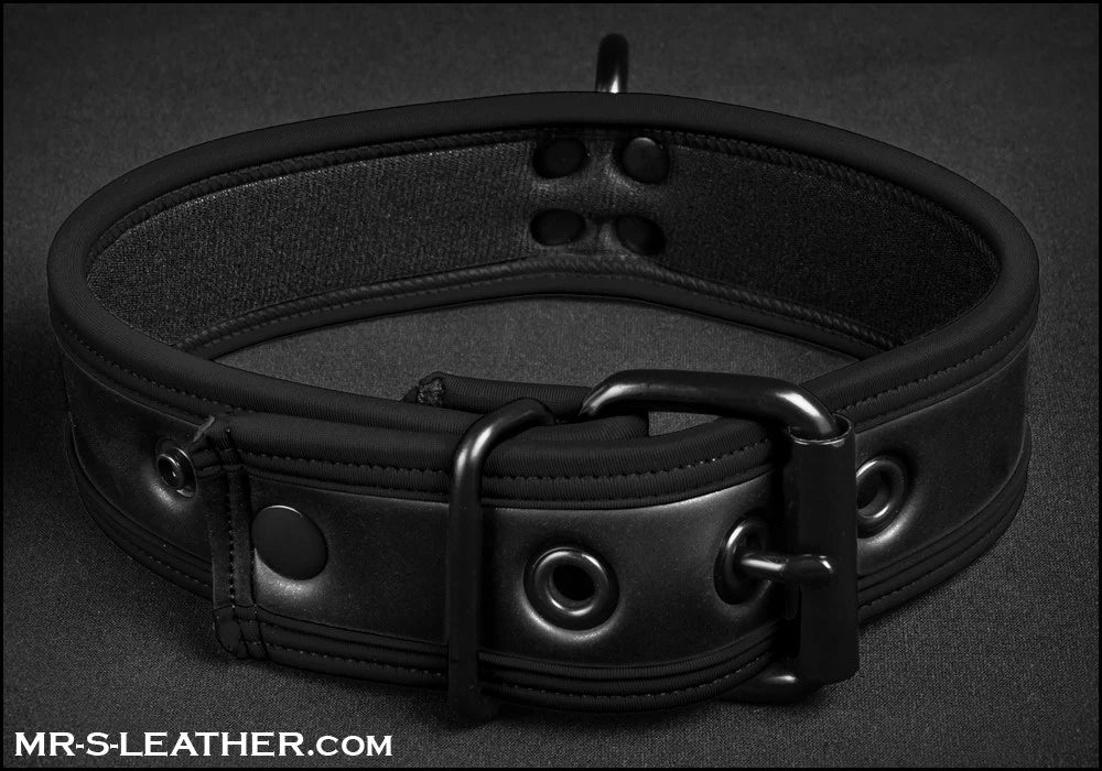 Mr S Leather - Neo Puppy Collar