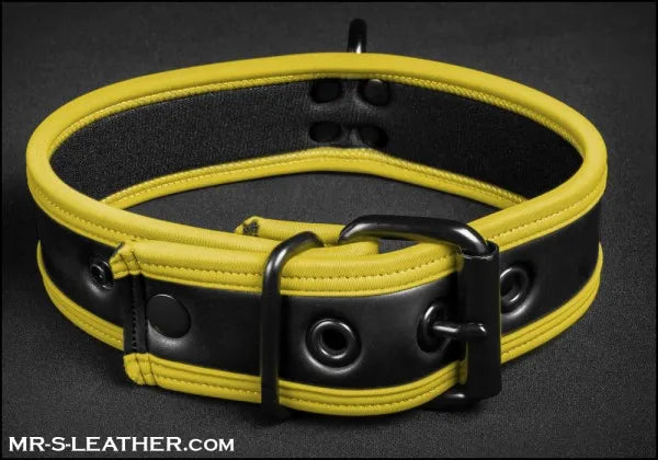 Mister S - Neoprene Puppy Collar