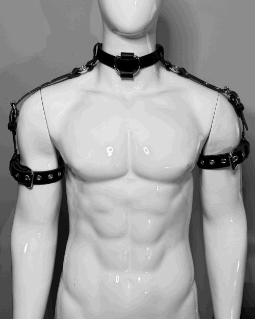 Raw Harness - Shoulder Harness