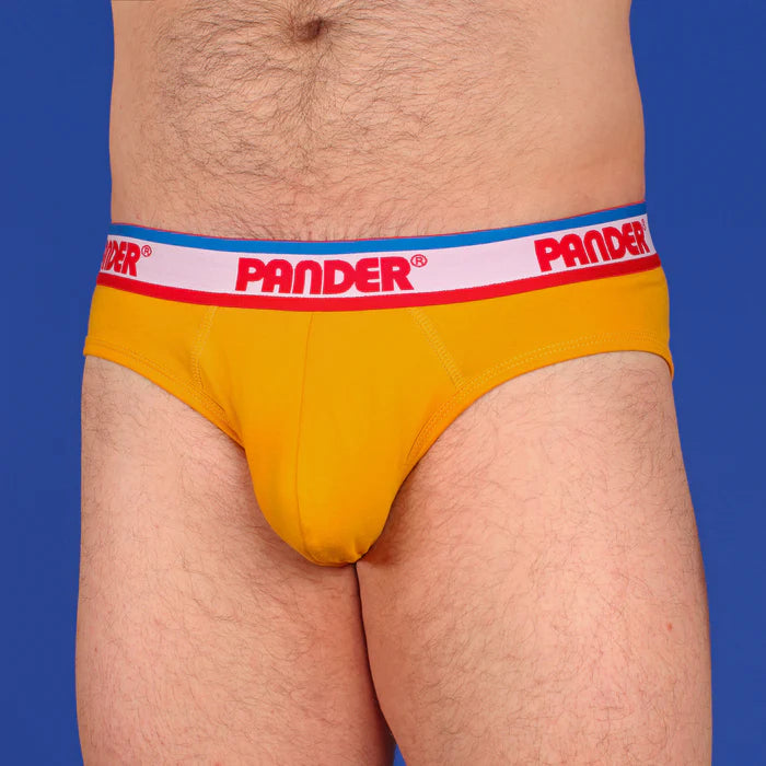Pander - Brief